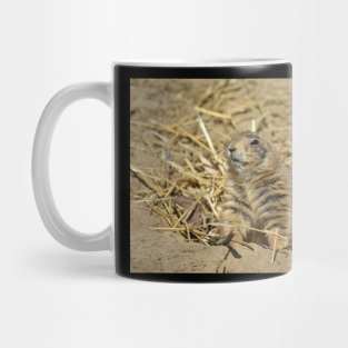 Prairie Dog Mug